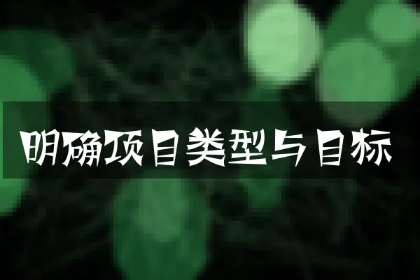 明确项目类型与目标