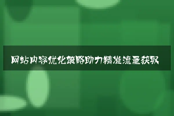 网站内容优化策略助力精准流量获取