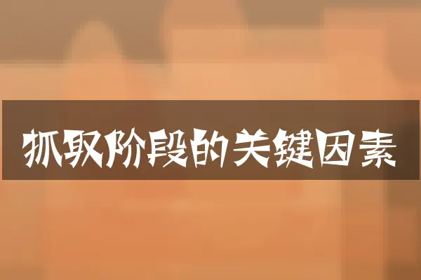 抓取阶段的关键因素